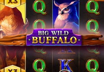 Автомат Big Wild Buffalo в Но Бонус казино